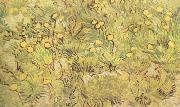 Vincent Van Gogh A Field of Yellow Flowers (nn04) Spain oil painting artist